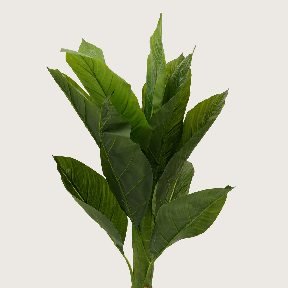 Botanical Accent Plant with Tapered Base