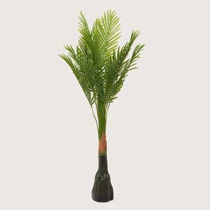Tropical Plant  in Sleek Contemporary Base