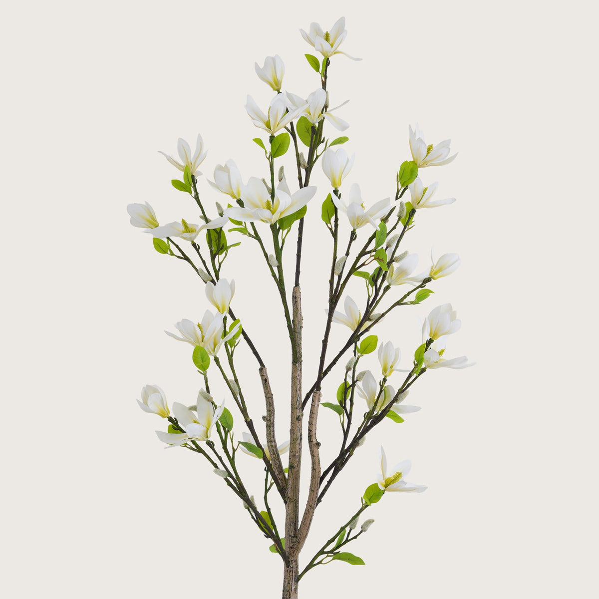 Slimline White Blossom Tree