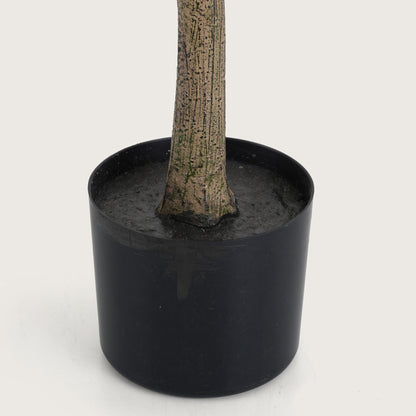 Slimline White Blossom Tree