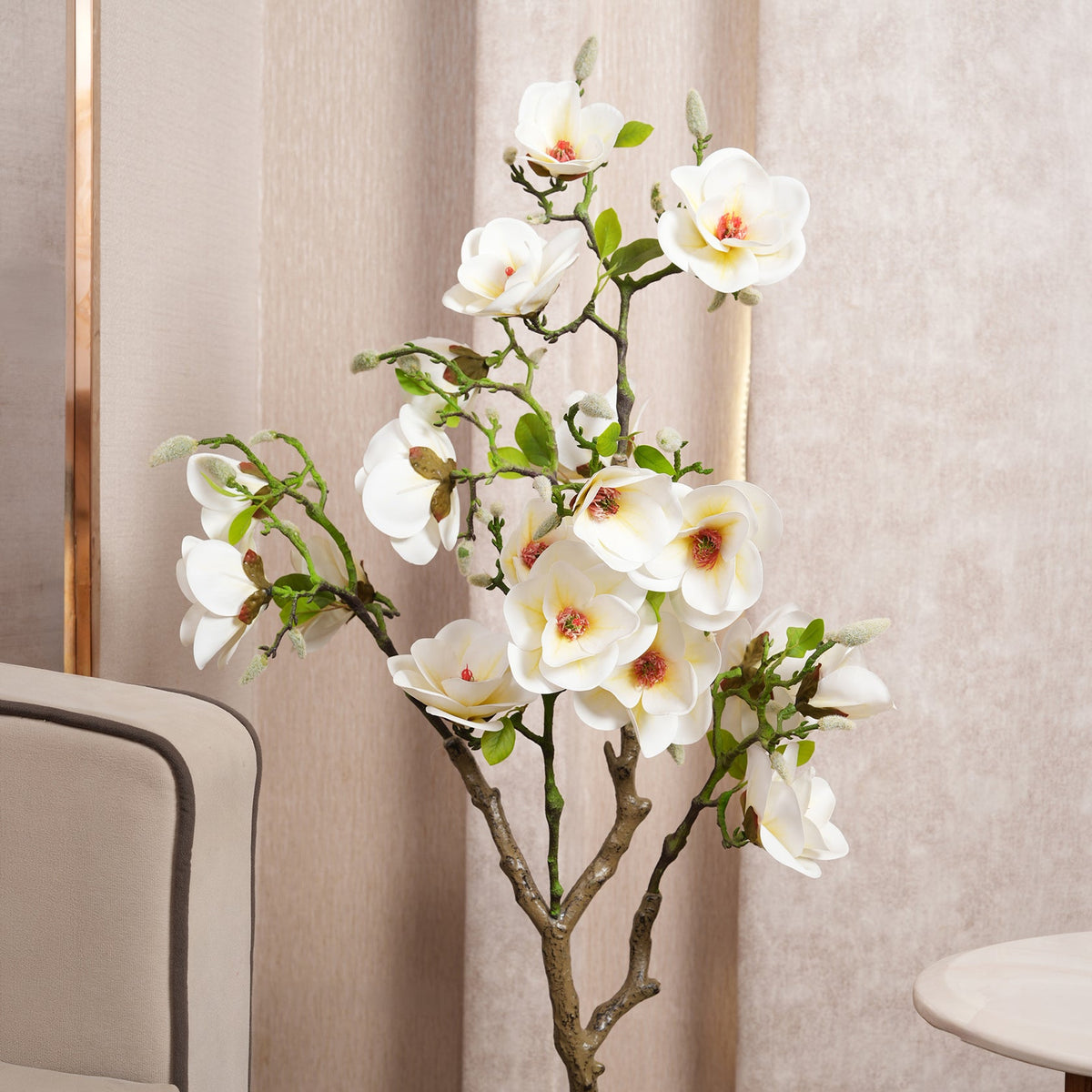 White Magnolia Tree with Blooms