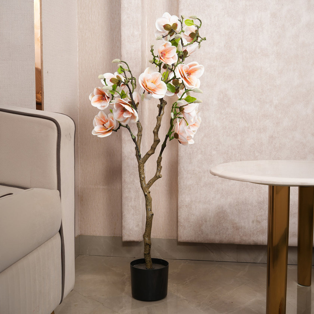 Blush Pink Magnolia Tree