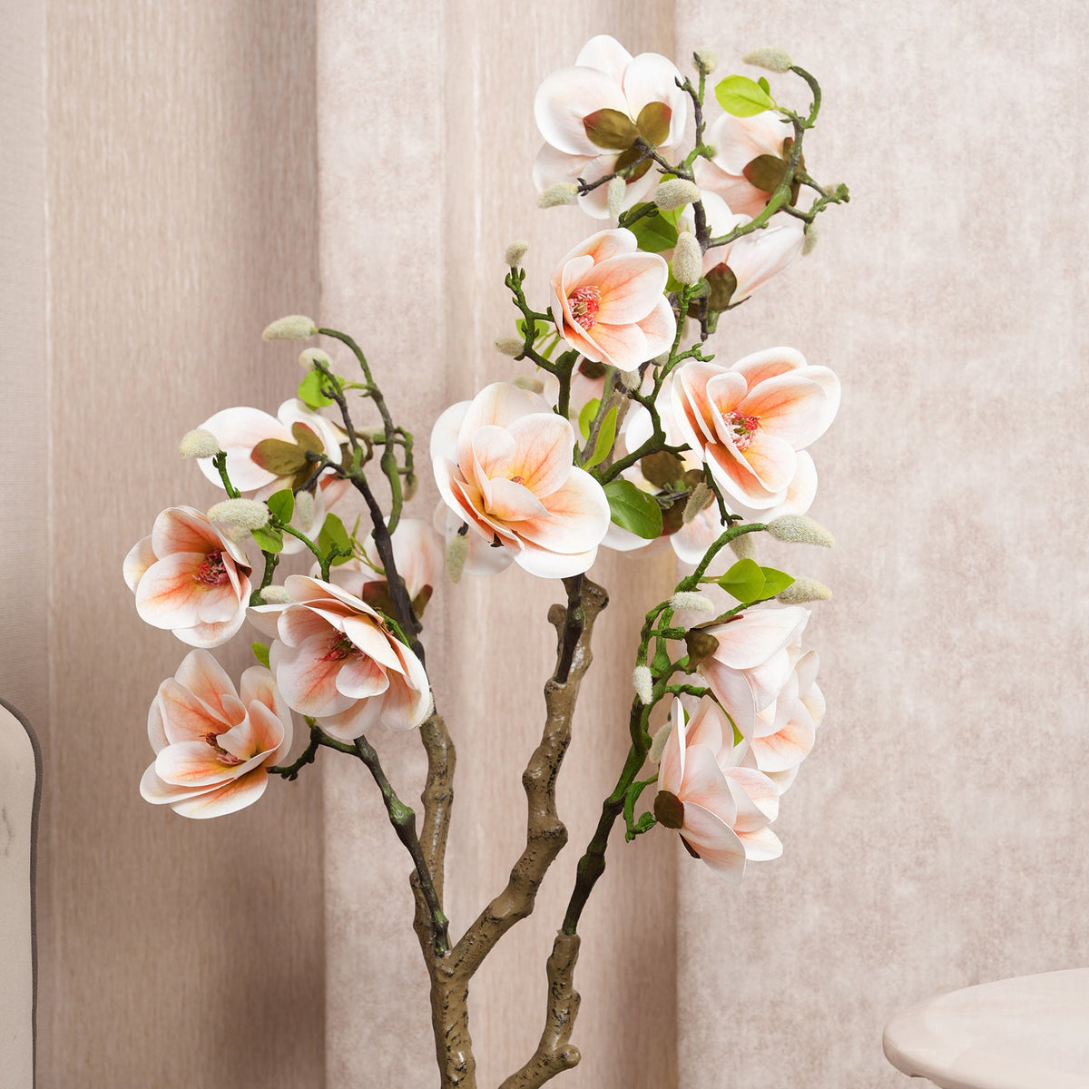 Blush Pink Magnolia Tree